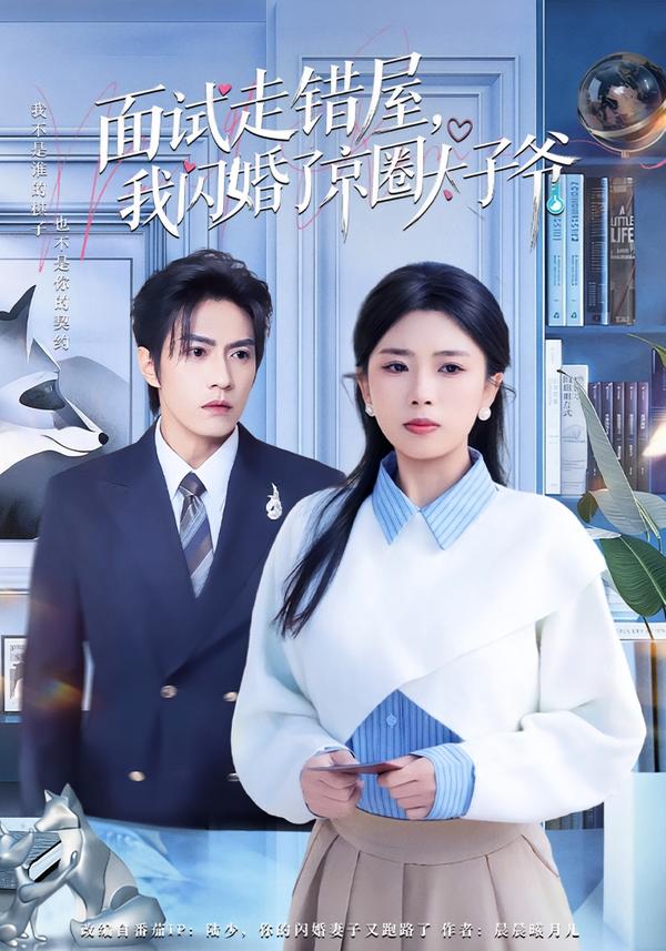 面试走错屋，我闪婚了京圈太子爷(全集)