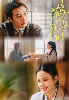 鹤归瑾时(全集)